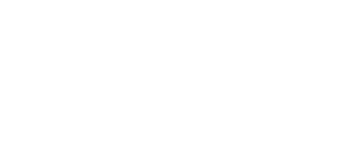inSight